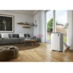 Delonghi Pinguino PAC EM90 Silent